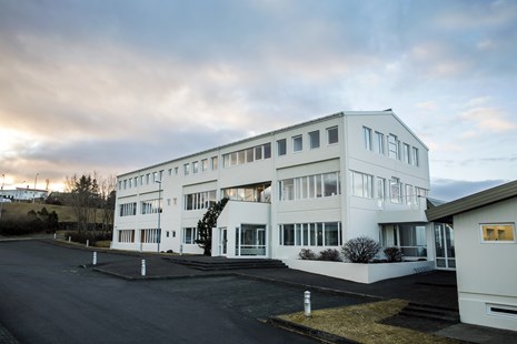 Mynd Landsréttur